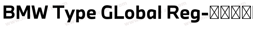 BMW Type GLobal Reg字体转换